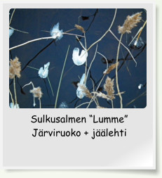 Sulkusalmen �Lumme� J�rviruoko + j��lehti